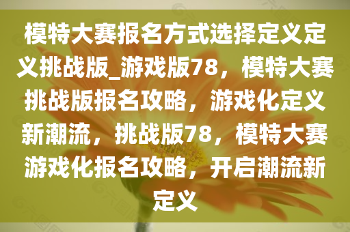 模特大赛报名方式选择定义定义挑战版_游戏版78，模特大赛挑战版报名攻略，游戏化定义新潮流，挑战版78，模特大赛游戏化报名攻略，开启潮流新定义