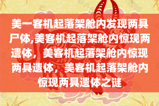 美一客机起落架舱内发现两具尸体,美客机起落架舱内惊现两遗体，美客机起落架舱内惊现两具遗体，美客机起落架舱内惊现两具遗体之谜