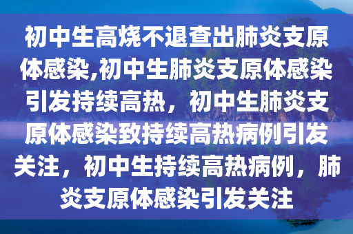 linhuijia 第25页