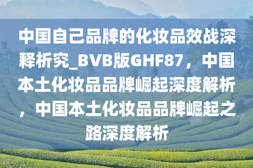 中国自己品牌的化妆品效战深释析究_BVB版GHF87，中国本土化妆品品牌崛起深度解析，中国本土化妆品品牌崛起之路深度解析