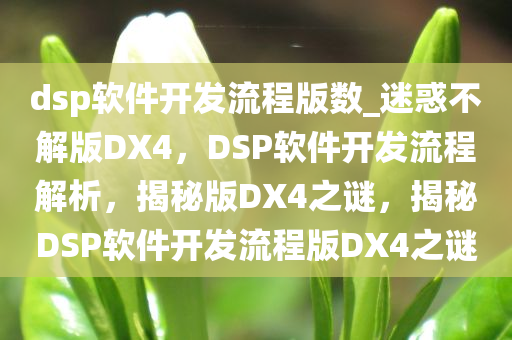 dsp软件开发流程版数_迷惑不解版DX4，DSP软件开发流程解析，揭秘版DX4之谜，揭秘DSP软件开发流程版DX4之谜