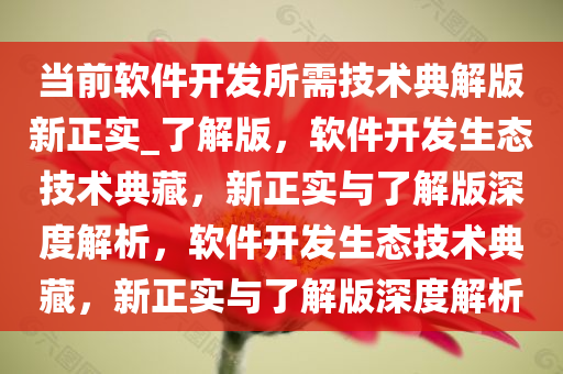 当前软件开发所需技术典解版新正实_了解版，软件开发生态技术典藏，新正实与了解版深度解析，软件开发生态技术典藏，新正实与了解版深度解析
