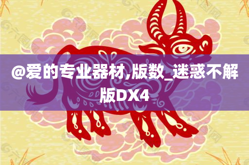 @爱的专业器材,版数_迷惑不解版DX4