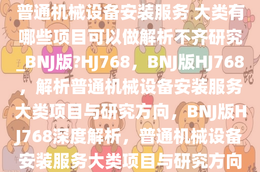 普通机械设备安装服务 大类有哪些项目可以做解析不齐研究_BNJ版?HJ768，BNJ版HJ768，解析普通机械设备安装服务大类项目与研究方向，BNJ版HJ768深度解析，普通机械设备安装服务大类项目与研究方向