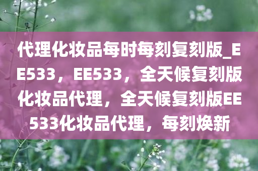代理化妆品每时每刻复刻版_EE533，EE533，全天候复刻版化妆品代理，全天候复刻版EE533化妆品代理，每刻焕新