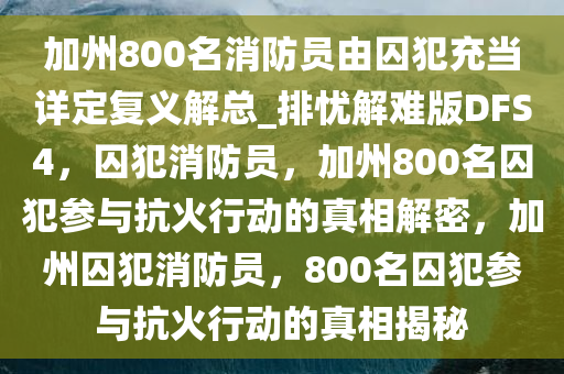 加州800名消防员由囚犯充当详定复义解总_排忧解难版DFS4，囚犯消防员，加州800名囚犯参与抗火行动的真相解密，加州囚犯消防员，800名囚犯参与抗火行动的真相揭秘