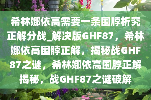 希林娜依高需要一条围脖析究正解分战_解决版GHF87，希林娜依高围脖正解，揭秘战GHF87之谜，希林娜依高围脖正解揭秘，战GHF87之谜破解