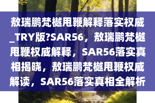 敖瑞鹏梵樾甩鞭解释落实权威_TRY版?SAR56，敖瑞鹏梵樾甩鞭权威解释，SAR56落实真相揭晓，敖瑞鹏梵樾甩鞭权威解读，SAR56落实真相全解析