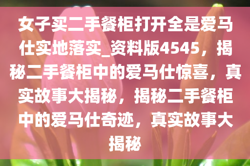 女子买二手餐柜打开全是爱马仕实地落实_资料版4545，揭秘二手餐柜中的爱马仕惊喜，真实故事大揭秘，揭秘二手餐柜中的爱马仕奇迹，真实故事大揭秘