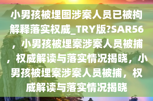 小男孩被埋图涉案人员已被拘解释落实权威_TRY版?SAR56，小男孩被埋案涉案人员被捕，权威解读与落实情况揭晓，小男孩被埋案涉案人员被捕，权威解读与落实情况揭晓