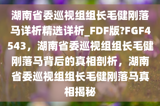 湖南省委巡视组组长毛健刚落马详析精选详析_FDF版?FGF4543，湖南省委巡视组组长毛健刚落马背后的真相剖析，湖南省委巡视组组长毛健刚落马真相揭秘
