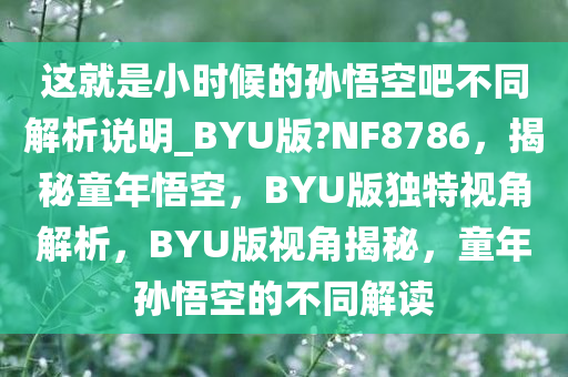 这就是小时候的孙悟空吧不同解析说明_BYU版?NF8786，揭秘童年悟空，BYU版独特视角解析，BYU版视角揭秘，童年孙悟空的不同解读