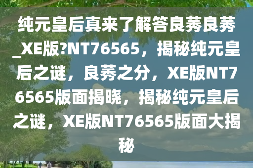 纯元皇后真来了解答良莠良莠_XE版?NT76565，揭秘纯元皇后之谜，良莠之分，XE版NT76565版面揭晓，揭秘纯元皇后之谜，XE版NT76565版面大揭秘