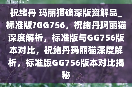 祝绪丹 玛丽猫确深版资解品_标准版?GG756，祝绪丹玛丽猫深度解析，标准版与GG756版本对比，祝绪丹玛丽猫深度解析，标准版GG756版本对比揭秘