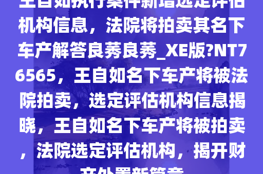 王自如执行案件新增选定评估机构信息，法院将拍卖其名下车产解答良莠良莠_XE版?NT76565，王自如名下车产将被法院拍卖，选定评估机构信息揭晓，王自如名下车产将被拍卖，法院选定评估机构，揭开财产处置新篇章