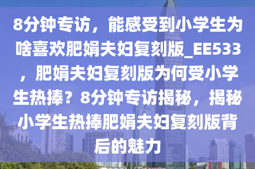 8分钟专访，能感受到小学生为啥喜欢肥娟夫妇复刻版_EE533，肥娟夫妇复刻版为何受小学生热捧？8分钟专访揭秘，揭秘小学生热捧肥娟夫妇复刻版背后的魅力