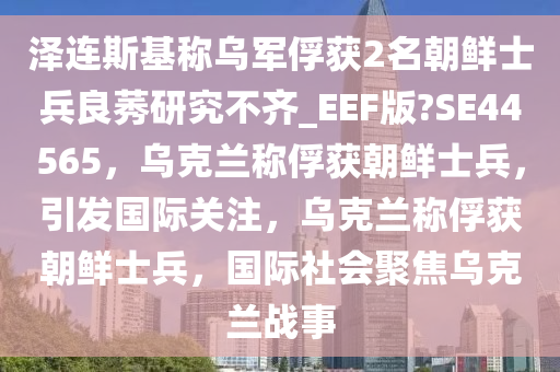 泽连斯基称乌军俘获2名朝鲜士兵良莠研究不齐_EEF版?SE44565，乌克兰称俘获朝鲜士兵，引发国际关注，乌克兰称俘获朝鲜士兵，国际社会聚焦乌克兰战事
