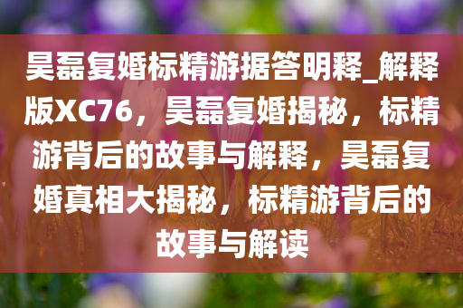 昊磊复婚标精游据答明释_解释版XC76，昊磊复婚揭秘，标精游背后的故事与解释，昊磊复婚真相大揭秘，标精游背后的故事与解读