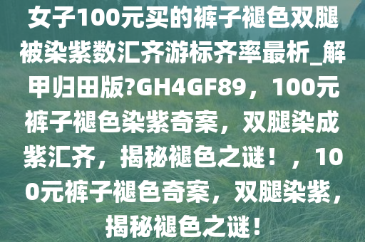 guozhejia 第26页
