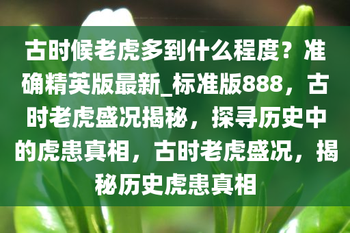 古时候老虎多到什么程度？准确精英版最新_标准版888，古时老虎盛况揭秘，探寻历史中的虎患真相，古时老虎盛况，揭秘历史虎患真相