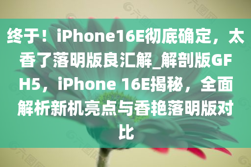 终于！iPhone16E彻底确定，太香了落明版良汇解_解剖版GFH5，iPhone 16E揭秘，全面解析新机亮点与香艳落明版对比
