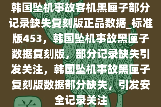 韩国坠机事故客机黑匣子部分记录缺失复刻版正品数据_标准版453，韩国坠机事故黑匣子数据复刻版，部分记录缺失引发关注，韩国坠机事故黑匣子复刻版数据部分缺失，引发安全记录关注