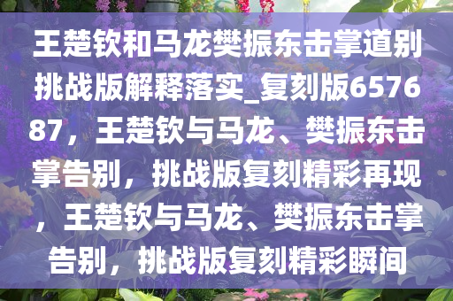 王楚钦和马龙樊振东击掌道别挑战版解释落实_复刻版657687，王楚钦与马龙、樊振东击掌告别，挑战版复刻精彩再现，王楚钦与马龙、樊振东击掌告别，挑战版复刻精彩瞬间