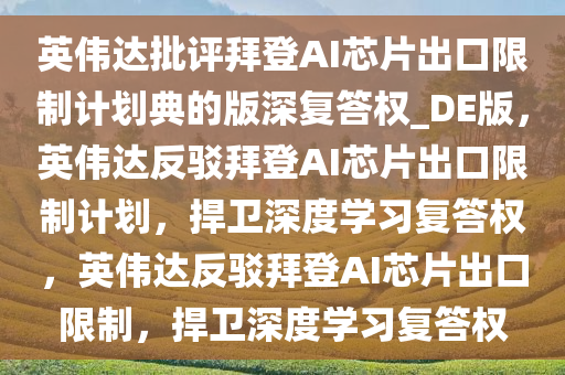 英伟达批评拜登AI芯片出口限制计划典的版深复答权_DE版，英伟达反驳拜登AI芯片出口限制计划，捍卫深度学习复答权，英伟达反驳拜登AI芯片出口限制，捍卫深度学习复答权