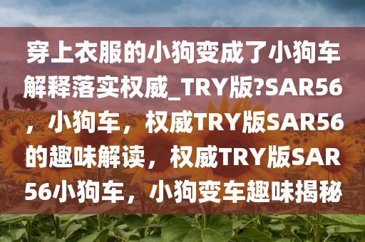 穿上衣服的小狗变成了小狗车解释落实权威_TRY版?SAR56，小狗车，权威TRY版SAR56的趣味解读，权威TRY版SAR56小狗车，小狗变车趣味揭秘