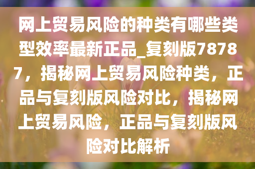 网上贸易风险的种类有哪些类型效率最新正品_复刻版78787，揭秘网上贸易风险种类，正品与复刻版风险对比，揭秘网上贸易风险，正品与复刻版风险对比解析
