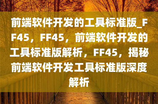前端软件开发的工具标准版_FF45，FF45，前端软件开发的工具标准版解析，FF45，揭秘前端软件开发工具标准版深度解析
