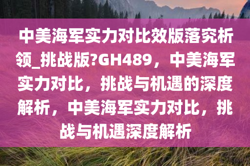 中美海军实力对比效版落究析领_挑战版?GH489，中美海军实力对比，挑战与机遇的深度解析，中美海军实力对比，挑战与机遇深度解析