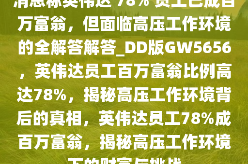 消息称英伟达 78% 员工已成百万富翁，但面临高压工作环境的全解答解答_DD版GW5656，英伟达员工百万富翁比例高达78%，揭秘高压工作环境背后的真相，英伟达员工78%成百万富翁，揭秘高压工作环境下的财富与挑战