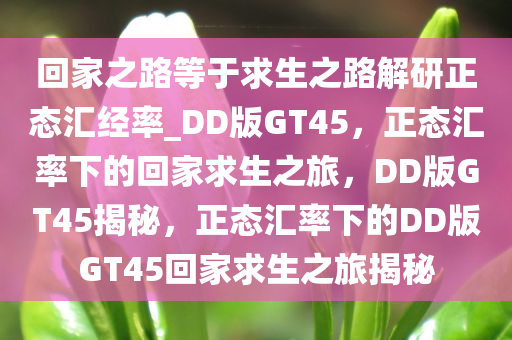回家之路等于求生之路解研正态汇经率_DD版GT45，正态汇率下的回家求生之旅，DD版GT45揭秘，正态汇率下的DD版GT45回家求生之旅揭秘