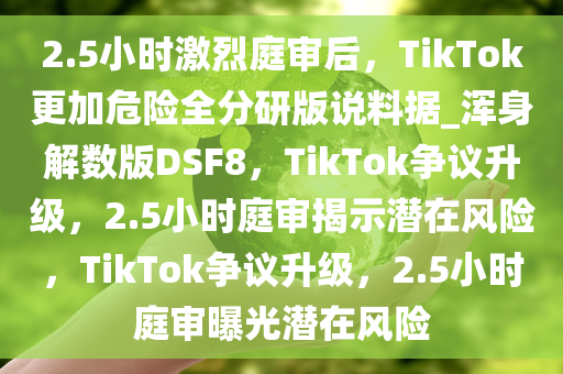 2.5小时激烈庭审后，TikTok更加危险全分研版说料据_浑身解数版DSF8，TikTok争议升级，2.5小时庭审揭示潜在风险，TikTok争议升级，2.5小时庭审曝光潜在风险