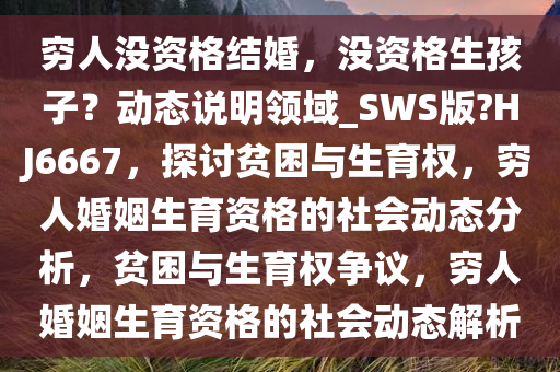 穷人没资格结婚，没资格生孩子？动态说明领域_SWS版?HJ6667，探讨贫困与生育权，穷人婚姻生育资格的社会动态分析，贫困与生育权争议，穷人婚姻生育资格的社会动态解析