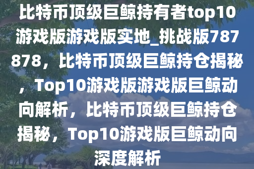 比特币顶级巨鲸持有者top10游戏版游戏版实地_挑战版787878，比特币顶级巨鲸持仓揭秘，Top10游戏版游戏版巨鲸动向解析，比特币顶级巨鲸持仓揭秘，Top10游戏版巨鲸动向深度解析