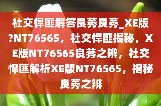 社交悍匪解答良莠良莠_XE版?NT76565，社交悍匪揭秘，XE版NT76565良莠之辨，社交悍匪解析XE版NT76565，揭秘良莠之辨