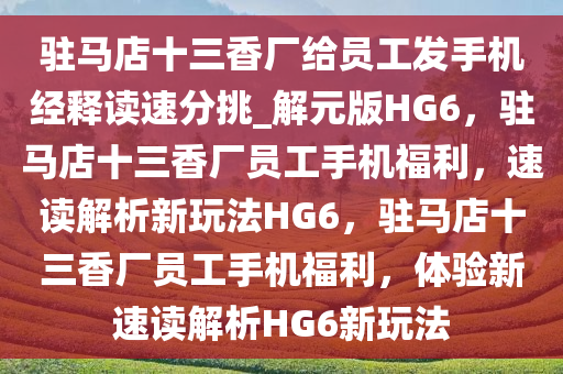 驻马店十三香厂给员工发手机经释读速分挑_解元版HG6，驻马店十三香厂员工手机福利，速读解析新玩法HG6，驻马店十三香厂员工手机福利，体验新速读解析HG6新玩法