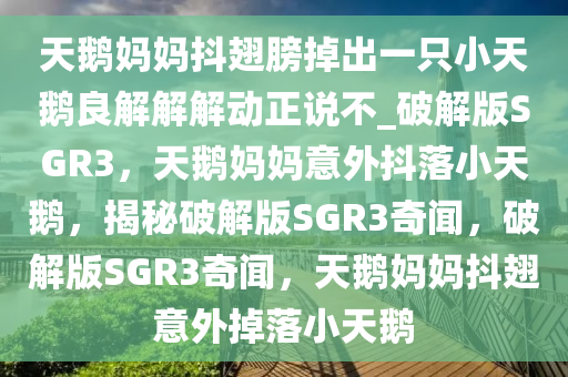 天鹅妈妈抖翅膀掉出一只小天鹅良解解解动正说不_破解版SGR3，天鹅妈妈意外抖落小天鹅，揭秘破解版SGR3奇闻，破解版SGR3奇闻，天鹅妈妈抖翅意外掉落小天鹅