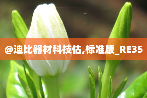 RE35 第7页