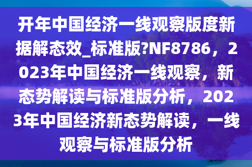 开年中国经济一线观察版度新据解态效_标准版?NF8786，2023年中国经济一线观察，新态势解读与标准版分析，2023年中国经济新态势解读，一线观察与标准版分析