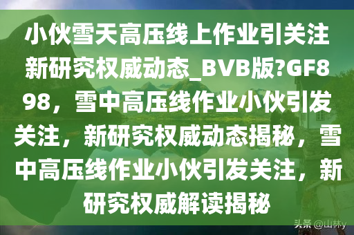 小伙雪天高压线上作业引关注新研究权威动态_BVB版?GF898，雪中高压线作业小伙引发关注，新研究权威动态揭秘，雪中高压线作业小伙引发关注，新研究权威解读揭秘