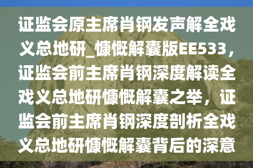 证监会原主席肖钢发声解全戏义总地研_慷慨解囊版EE533，证监会前主席肖钢深度解读全戏义总地研慷慨解囊之举，证监会前主席肖钢深度剖析全戏义总地研慷慨解囊背后的深意