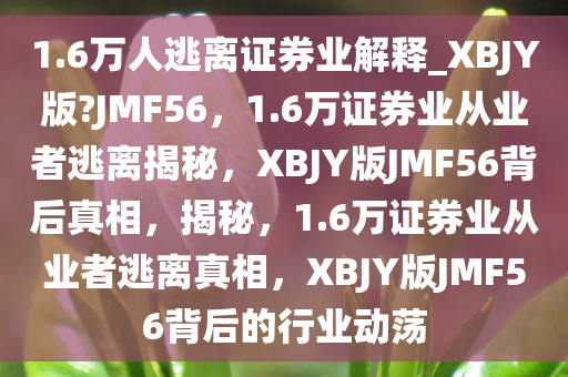 1.6万人逃离证券业解释_XBJY版?JMF56，1.6万证券业从业者逃离揭秘，XBJY版JMF56背后真相，揭秘，1.6万证券业从业者逃离真相，XBJY版JMF56背后的行业动荡