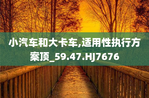 小汽车和大卡车,适用性执行方案顶_59.47.HJ7676