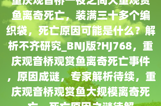 重庆观音桥一夜之间大量观赏鱼离奇死亡，装满三十多个编织袋，死亡原因可能是什么？解析不齐研究_BNJ版?HJ768，重庆观音桥观赏鱼离奇死亡事件，原因成谜，专家解析待续，重庆观音桥观赏鱼大规模离奇死亡，死亡原因之谜待解