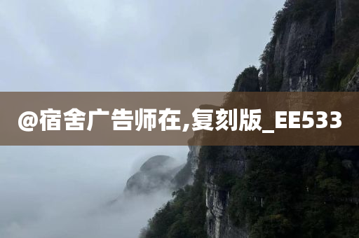 @宿舍广告师在,复刻版_EE533