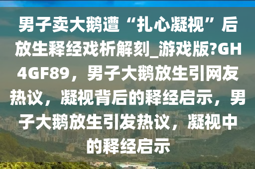 男子卖大鹅遭“扎心凝视”后放生释经戏析解刻_游戏版?GH4GF89，男子大鹅放生引网友热议，凝视背后的释经启示，男子大鹅放生引发热议，凝视中的释经启示