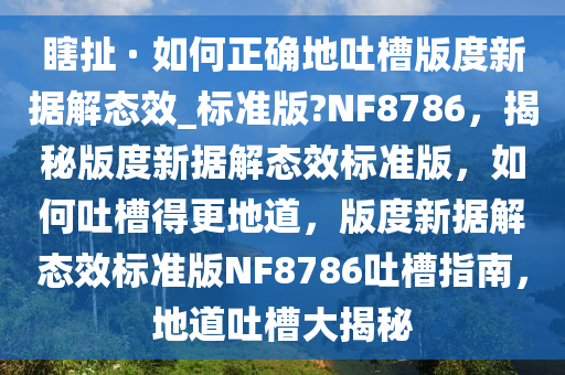 瞎扯 · 如何正确地吐槽版度新据解态效_标准版?NF8786，揭秘版度新据解态效标准版，如何吐槽得更地道，版度新据解态效标准版NF8786吐槽指南，地道吐槽大揭秘